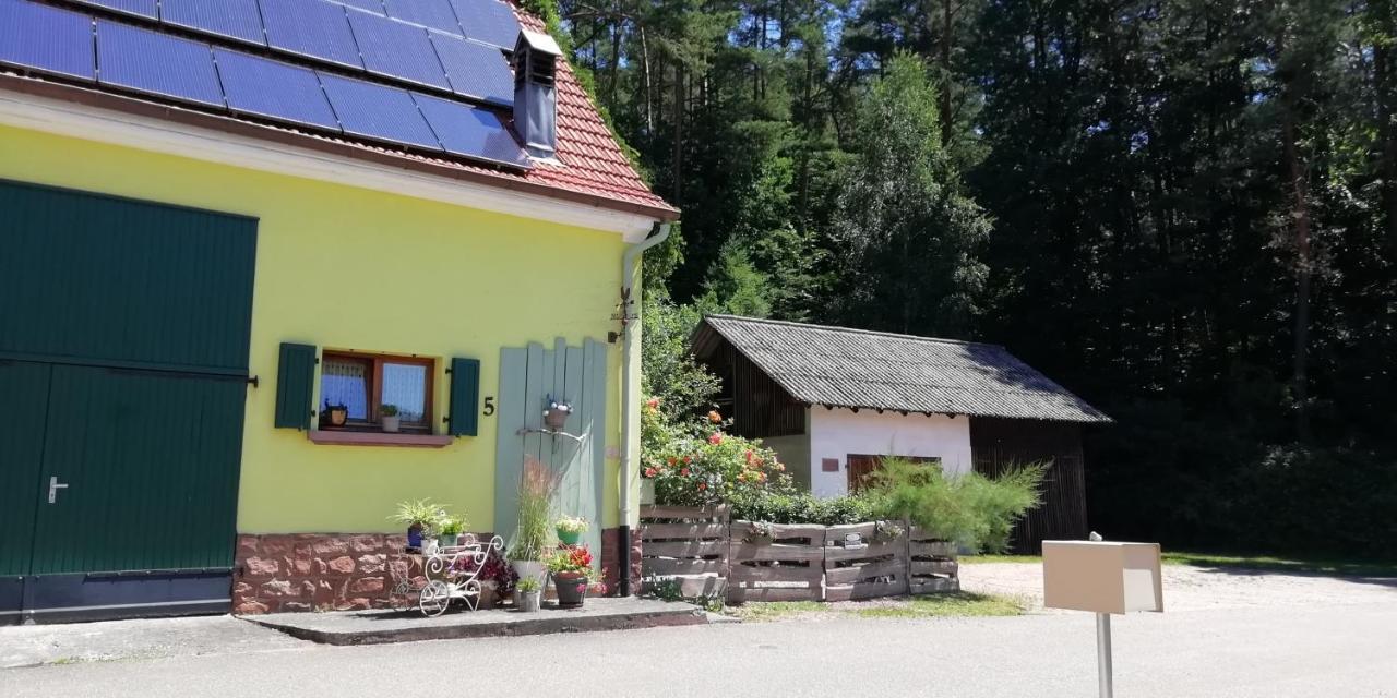 Violeta Villa Dambach Exterior photo